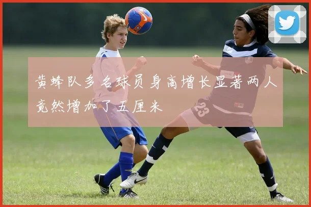 黄蜂队多名球员身高增长显著两人竟然增加了五厘米