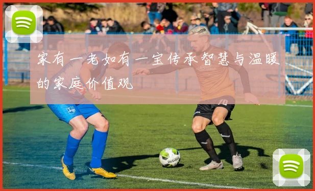 家有一老如有一宝传承智慧与温暖的家庭价值观